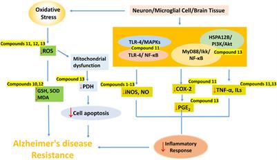 Advances in the roles and mechanisms of lignans against Alzheimer’s disease